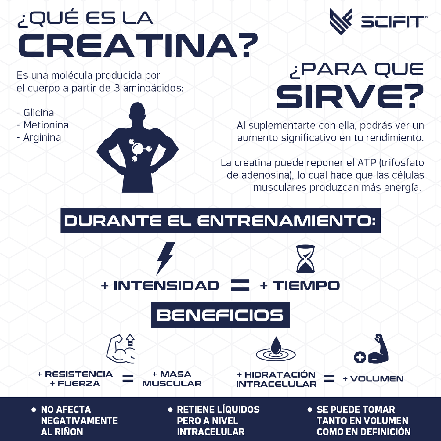 Sci Fit Creatina